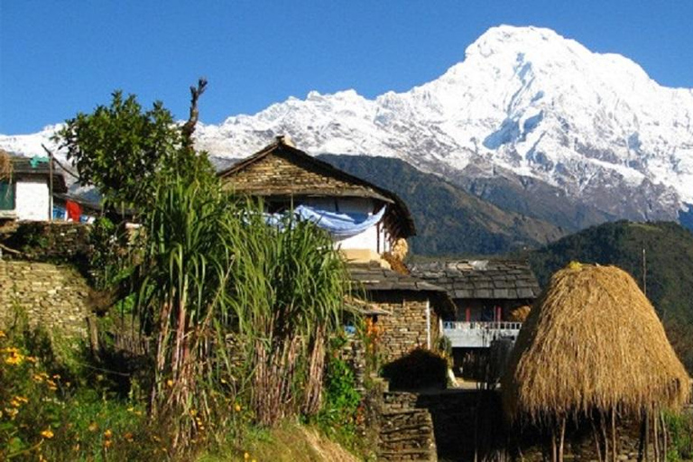 Kathmandu: trekking di 6 giorni a Ghorepani, Poonhill e GhandrukTour privato del trekking con pasti inclusi.