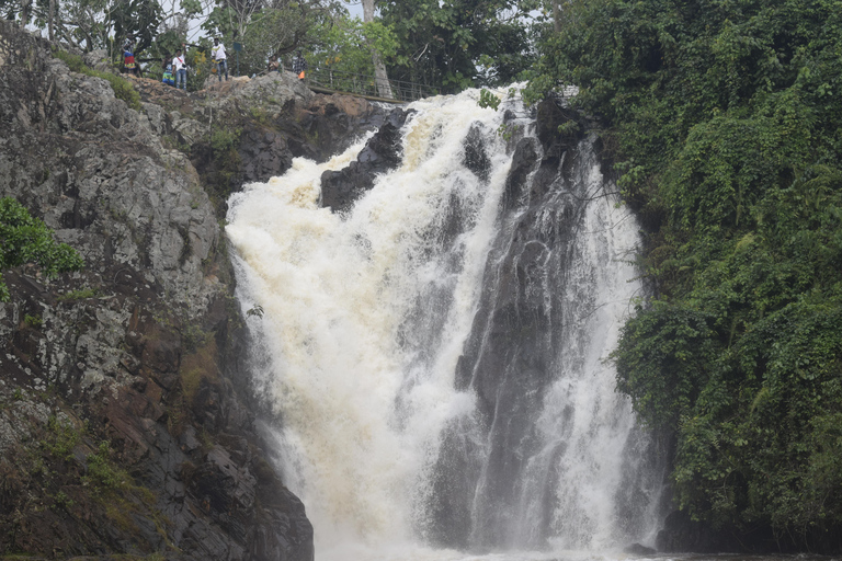 Jinja: Excursión de un día con crucero en barco por el nacimiento del Nilo