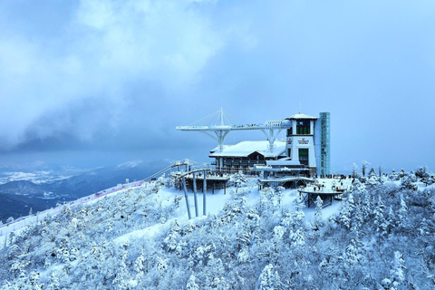 Funivia guidata Balwangsan e ranch DaegwallyeongFunivia guidata di Balwangsan e ranch Daegwallyeong