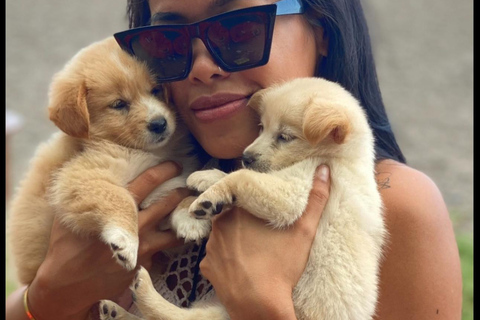 Le paradis des chiots du monde entier — Un bonheur balinais qui a du sensDécouvrez le paradis mondial des chiots à Thalassa Seseh