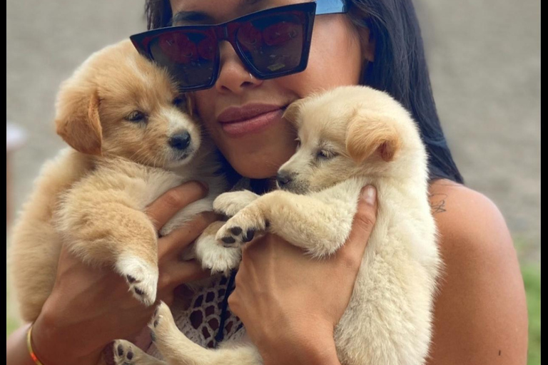 Le paradis des chiots du monde entier — Un bonheur balinais qui a du sensDécouvrez le paradis mondial des chiots à Thalassa Seseh