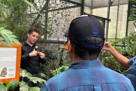 Boquete Butterfly House: Panama's Largest Butterfly Exhibit