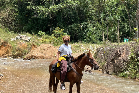 Medellín : excursion à cheval à Caldas avec boissonsMedellín : excursion équestre à Caldas avec boissons