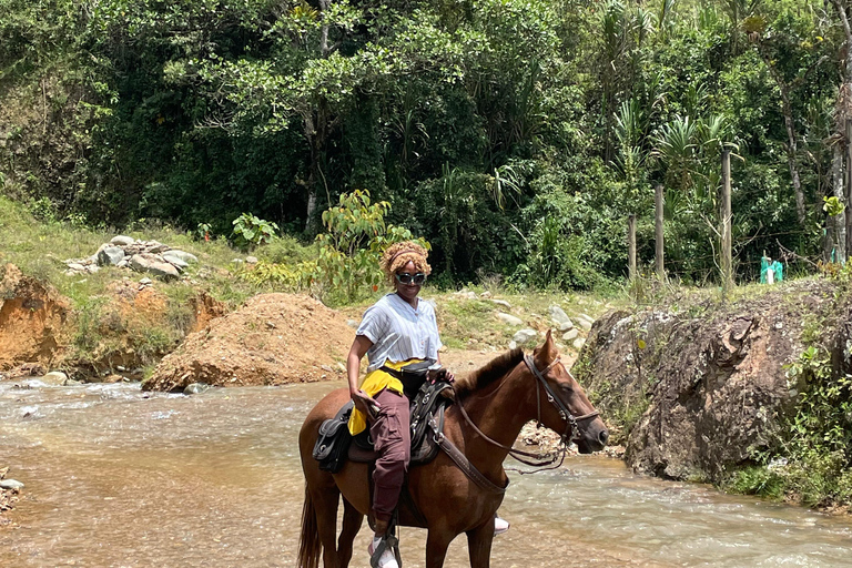 Medellín : excursion à cheval à Caldas avec boissonsMedellín : excursion équestre à Caldas avec boissons