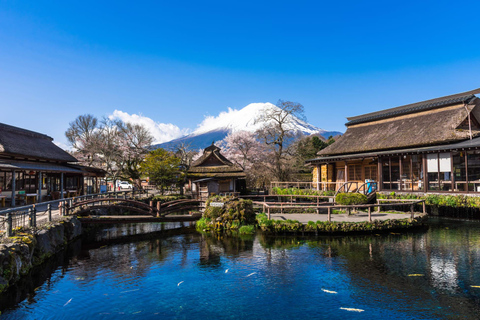 Tokyo: Viaggio sul Monte Fuji e Hakone con autista che parla inglese