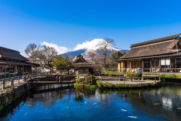 Tokio: Berg Fuji &amp; Hakone Reise mit englischsprachigem Fahrer