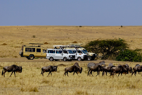 Kenya: 8-dagars safariturné från Nairobi