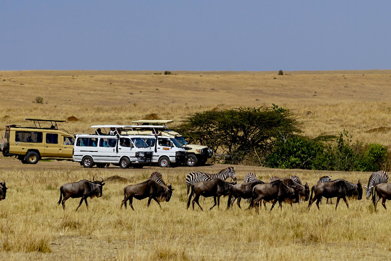 Kenya: 8-dagars safariturné från Nairobi