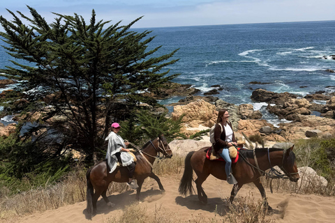 From Santiago: Papudo Lobos Island Boat & Horseback Ride