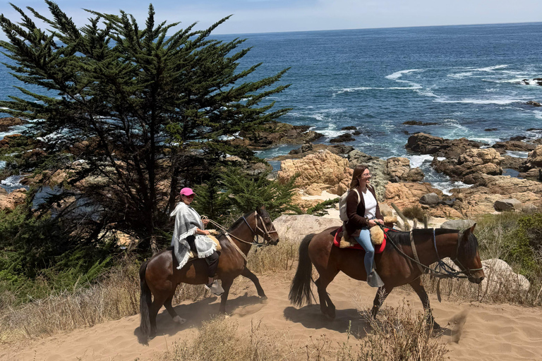 From Santiago: Papudo Lobos Island Boat & Horseback Ride