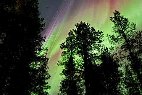 Rovaniemi: Coffee under Northern Lights & Professional Photo
