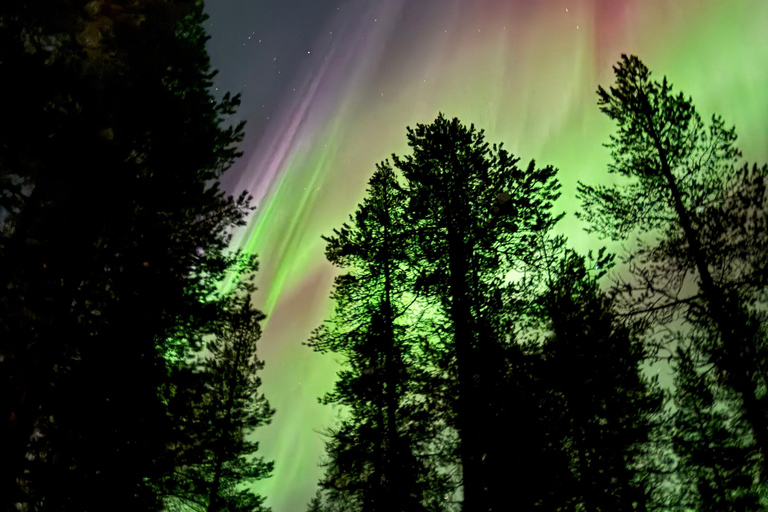 Rovaniemi: Coffee under Northern Lights & Professional Photo