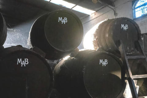 Chiclana de la Frontera : visite de cave avec dégustation de vinsChiclana de la Frontera : Visite d&#039;une cave avec dégustation de vins