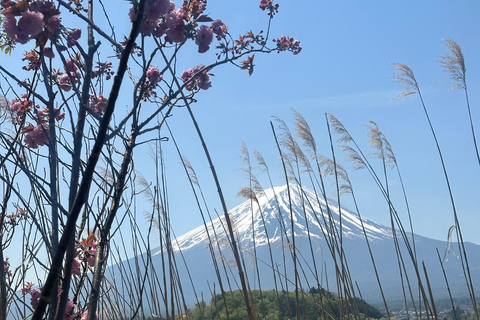 From Tokyo: Mount Fuji Full Day Customizable Private Tour LUXURY LAND CRUISER