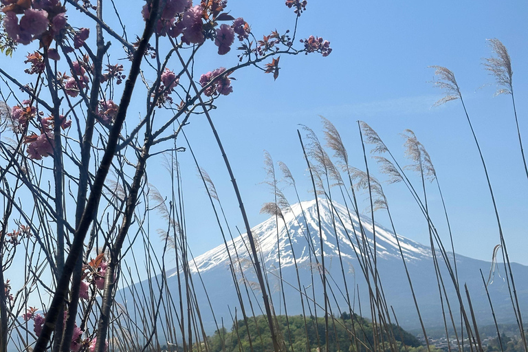 From Tokyo: Mount Fuji Full Day Customizable Private Tour LUXURY LAND CRUISER