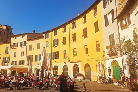 Visit Pisa & Lucca with lunch in a family-run winery Visit Pisa & Lucca with lunch in a family-run winery farm