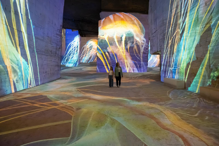 Les Baux-de-Provence: Carrières des Lumières Ocean ticket