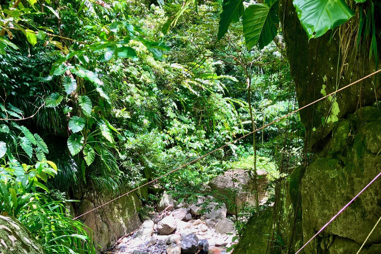Guadeloupe: Canyoning for everyone in Bouillante
