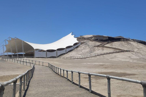 Trujillo: El Brujo & Huanchaco Tour with Lunch