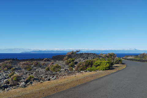 Pico Grand Tour: Volcanoes, UNESCO Vineyards & Local Culture