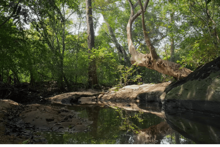 Bentota Village Tour, Fluss-Safari mit Westcoast