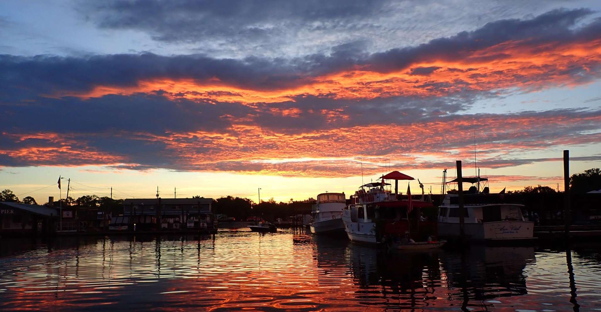 Crystal River, Manatee Viewing Cruise - Housity