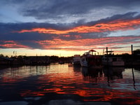 Crucero de Crystal River, Manatee Visioning - Housity