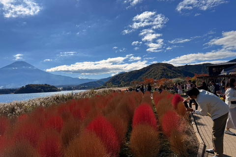 Tokyo: Mt Fuji A Journey Through Nature, History & Culture Tokyo: Mt Fuji A Journey Through Nature, History, & Culture