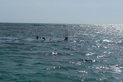Snorkeling Express Puerto Morelos