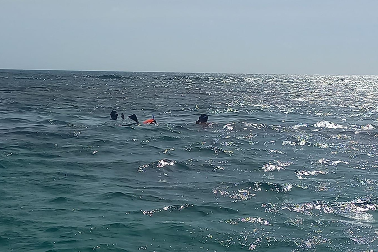 Snorkeling Express Puerto Morelos