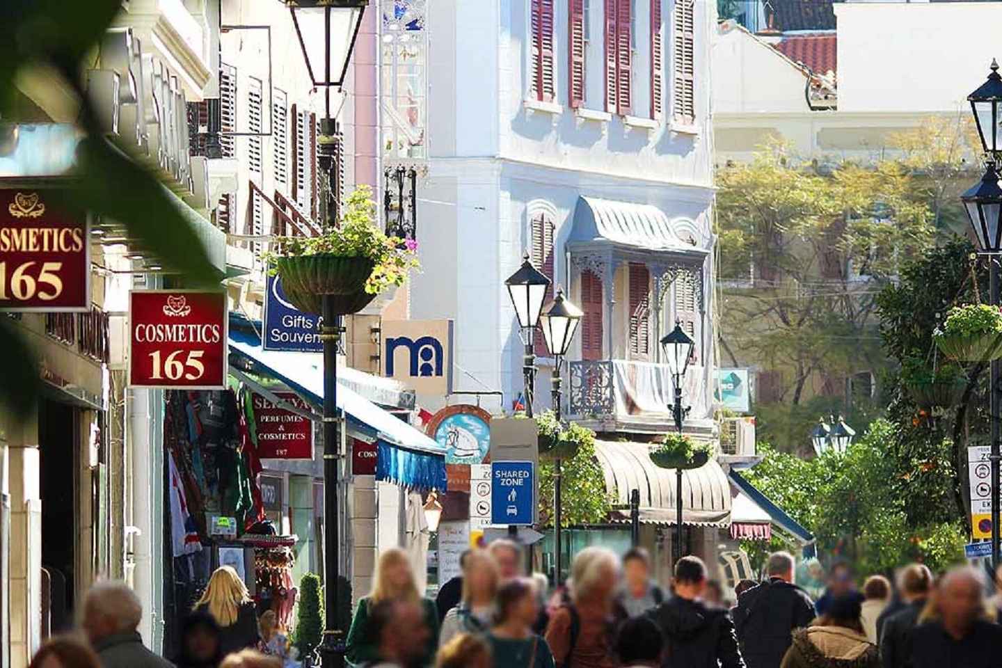 马拉加出发:直达直布罗陀私人一日游