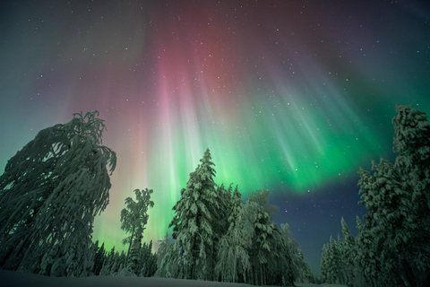 Rovaniemi: Northern Lights Tour – Guaranteed with Photos Small-Group Northern Lights Tour – Guaranteed with Photos