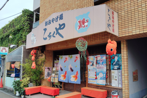 Nara: Discover Koriyama’s Goldfish Charm - 2-Hour