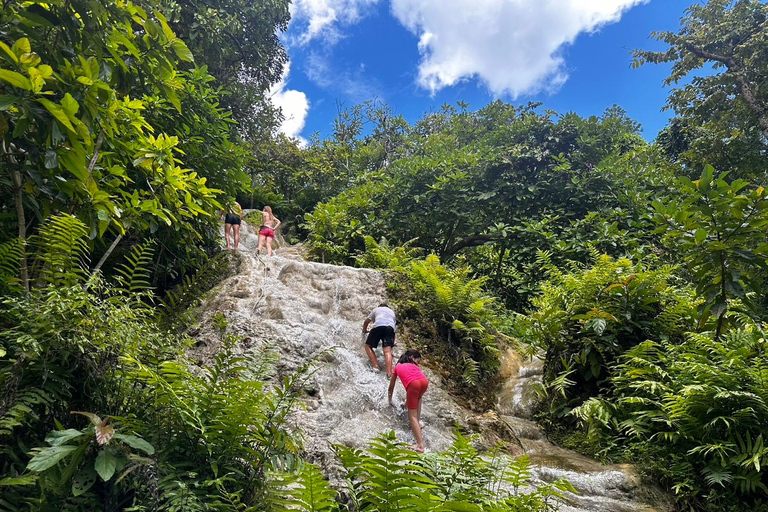 Chiang Mai: Elefantreservat, Long Neck &amp; Sticky WaterfallPrivat tur med upphämtning från hotell