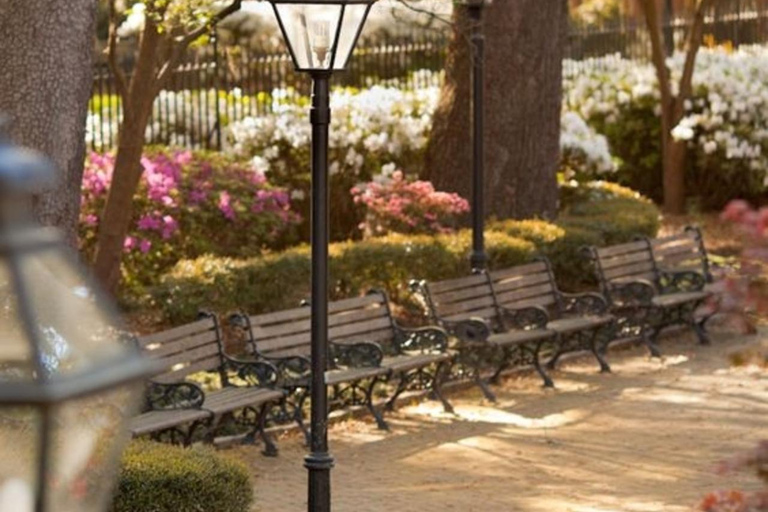 Charleston : Best Street Food Tour With A Local Guide Charleston : 3 Hours Small Group Food Tasting Walking Tour