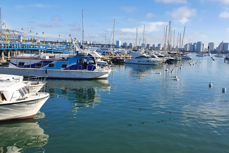 City Tour em Punta del Este: Uma aventura inesquecível de caça ao tesouro!