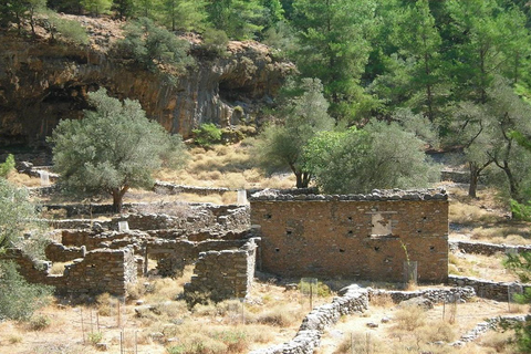 Desde Chania o Rethymno: Excursión de un día a la Garganta de SamariaRecorrido con limusina de 3 plazas o SUV