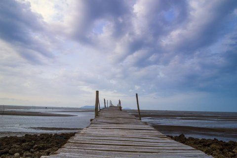 Ho Chi Minh City: Can Gio Mangrove Private Day Tour