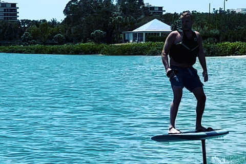 ساراسوتا: المغامرة النهائية