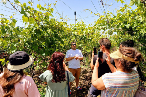 From Yerevan: Winery Tour with Wine Tasting and Dinner