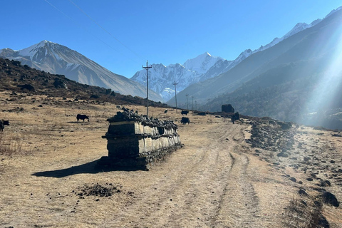 Kathmandu: Lobuche Peak Climbing Expedition with Guide