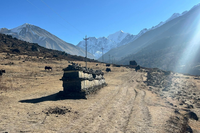 Kathmandu: Lobuche Peak Climbing Expedition with Guide