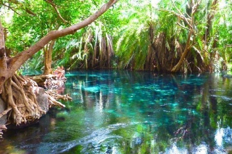 Excursión de un día asequible a las Termas de Chemka desde Moshi