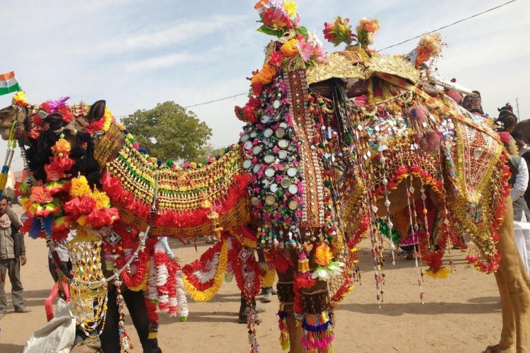 Jodhpur: Camel Safari & Sightseeing Tour