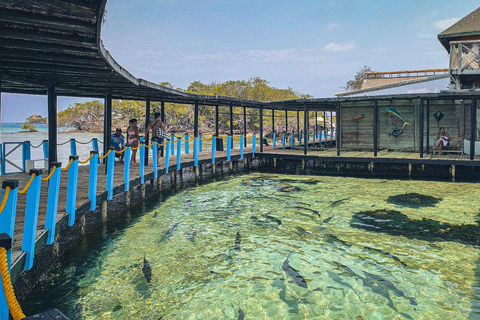 Cartagena: fuga caribenha personalizada com almoço e bebidasCartagena: Fuga pessoal ao Caribe com almoço e bebidas