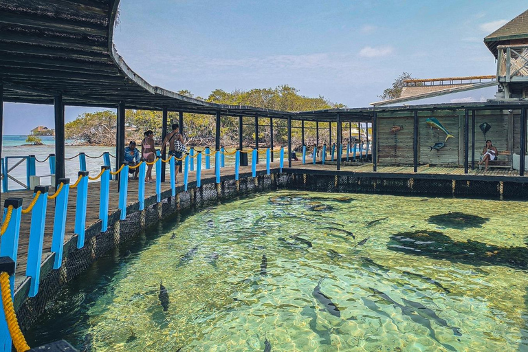 Cartagena: fuga caribenha personalizada com almoço e bebidasCartagena: Fuga pessoal ao Caribe com almoço e bebidas