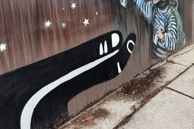 Toronto: Street Art and Graffiti Tour Run by Street Artist