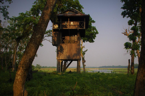 3 Noches de Aventura en Chitwan : con 1 Noche de Estancia en la Torre de la Jungla