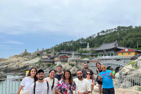 Busan Highlights: Small-Group Day Tour with Local Guide