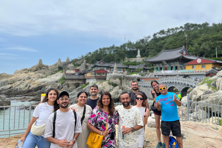 Busan Highlights: Small-Group Day Tour with Local Guide